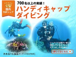 障がい者ダイビング